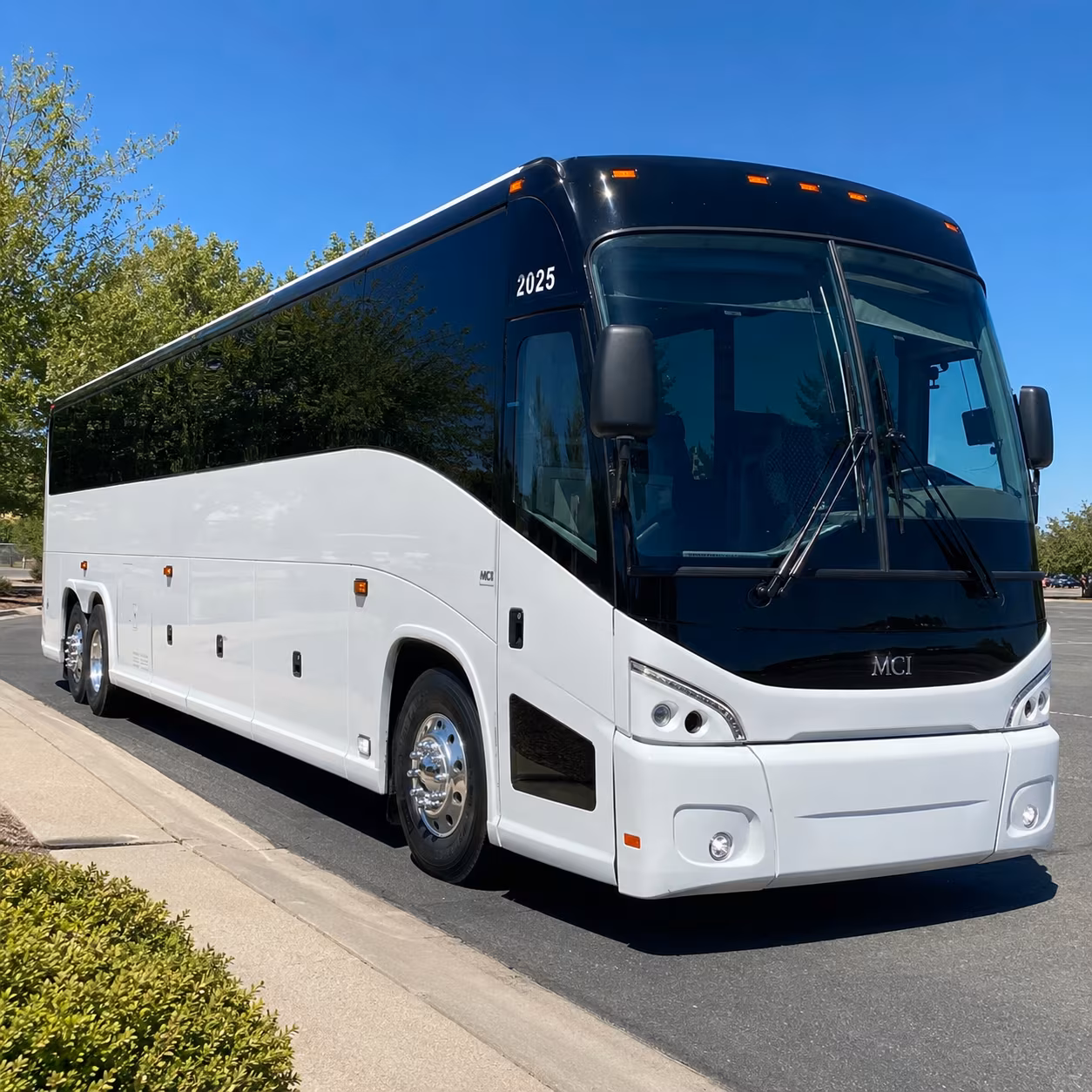 charter buses for big birthday outings beyond mableton